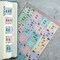 Laminated Planner Monthly Tabs, 24 Peel and Stick Tabs for Notebooks (12 Month Tabs and 12 Blank Tabs), Calendar Monthly Tab Stickers/Dividers (Assorted), Medium